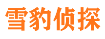 石林侦探公司